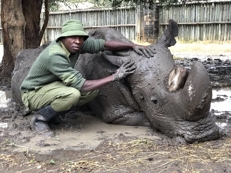 James Mwenda has been at Ol Pejeta for nearly 5 years. He says its was a childhood dream to work in conservation.